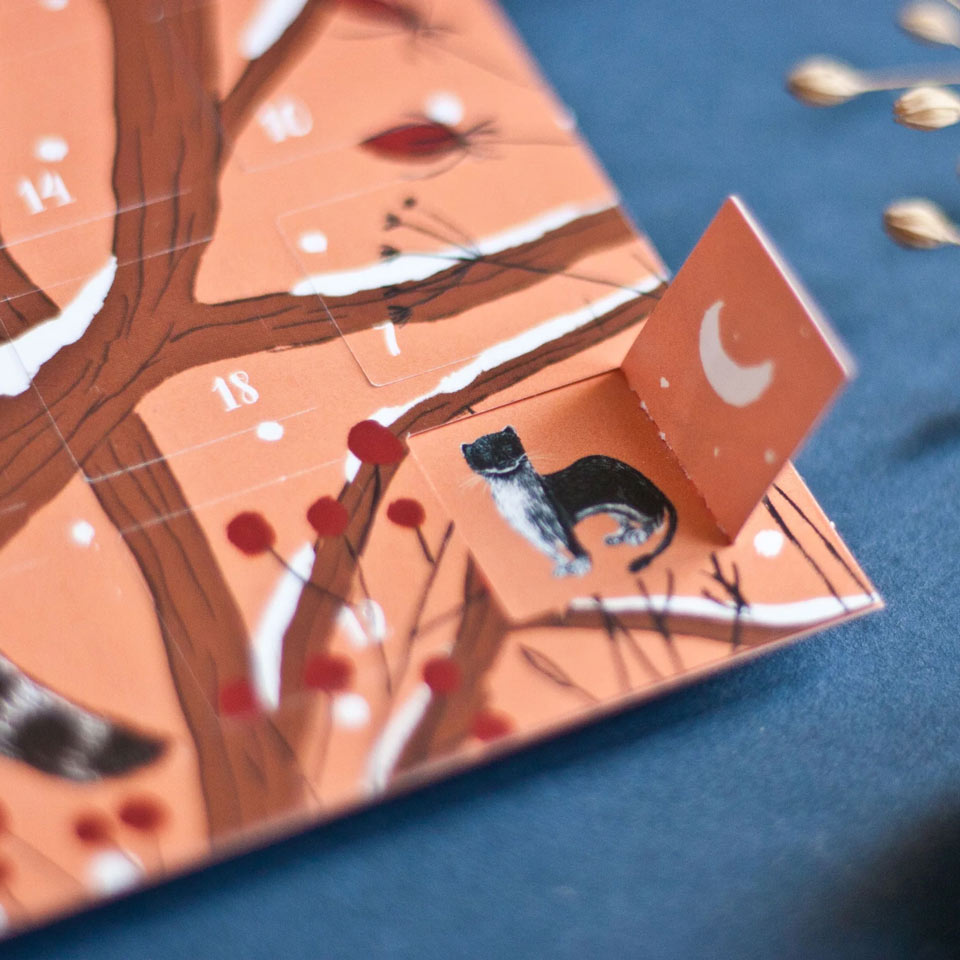 Postkarte Adventskalender Waschbären