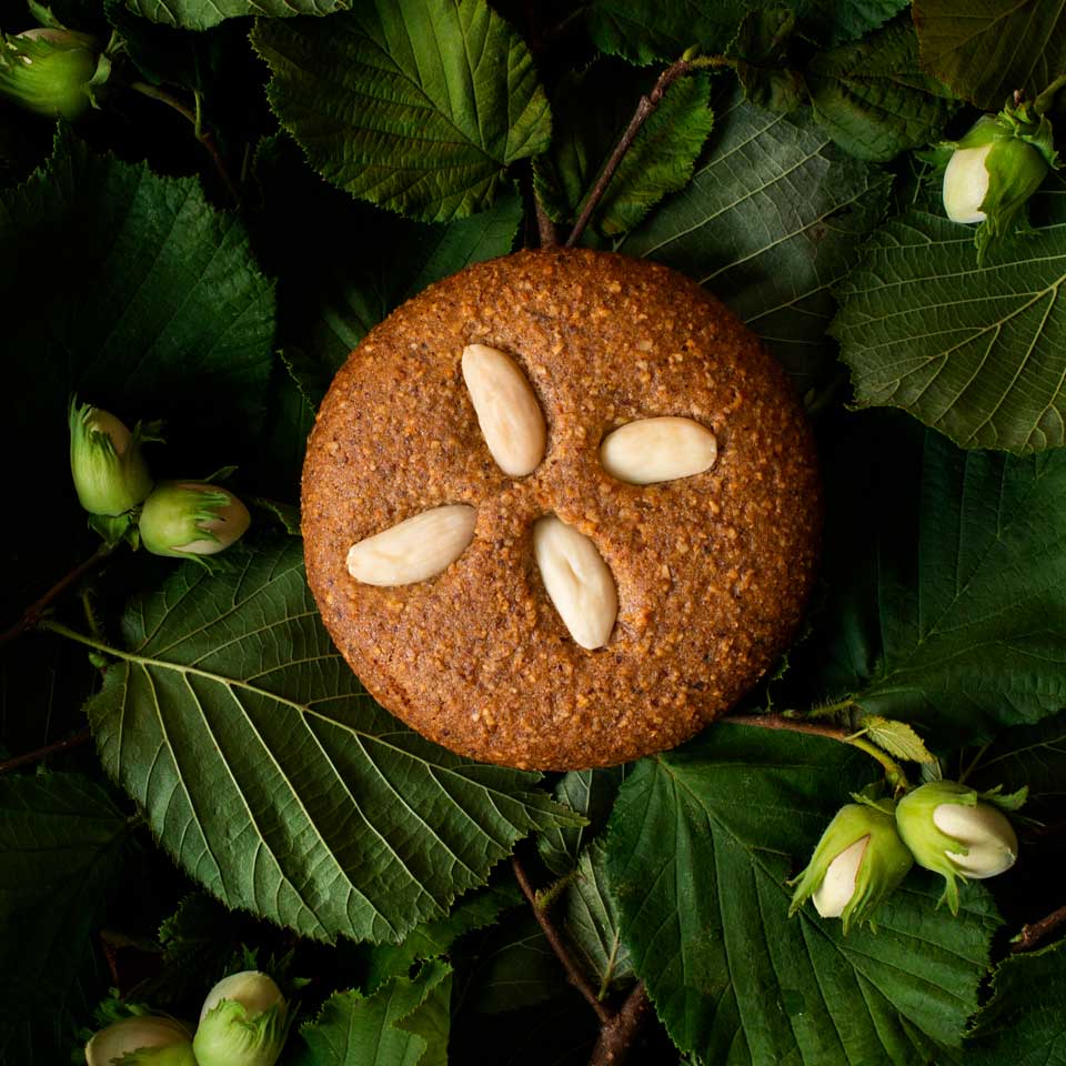 Lebkuchendose Charlotte Dumortier